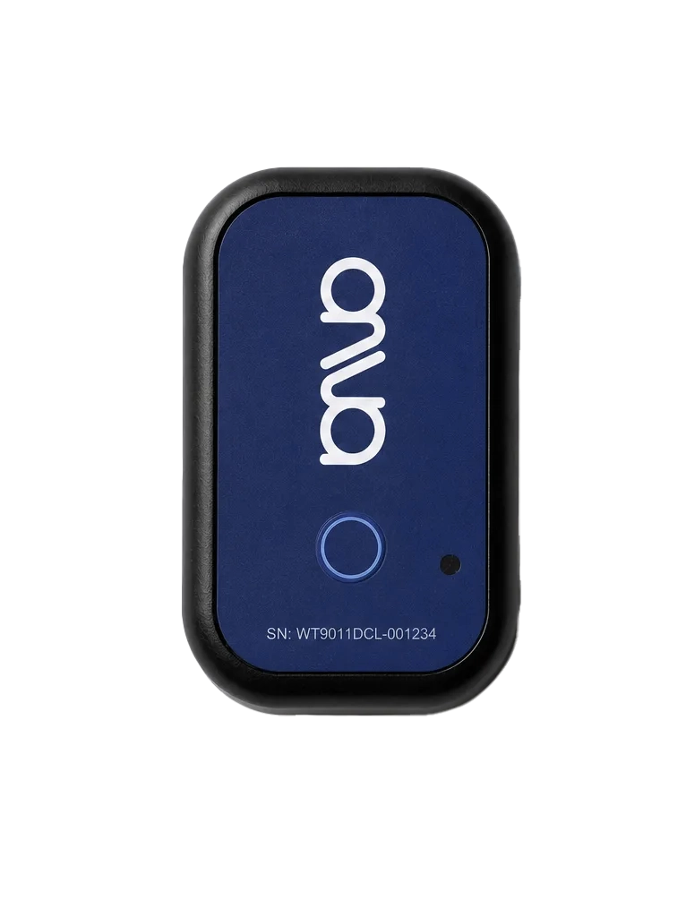 The ANVA balance sensor
